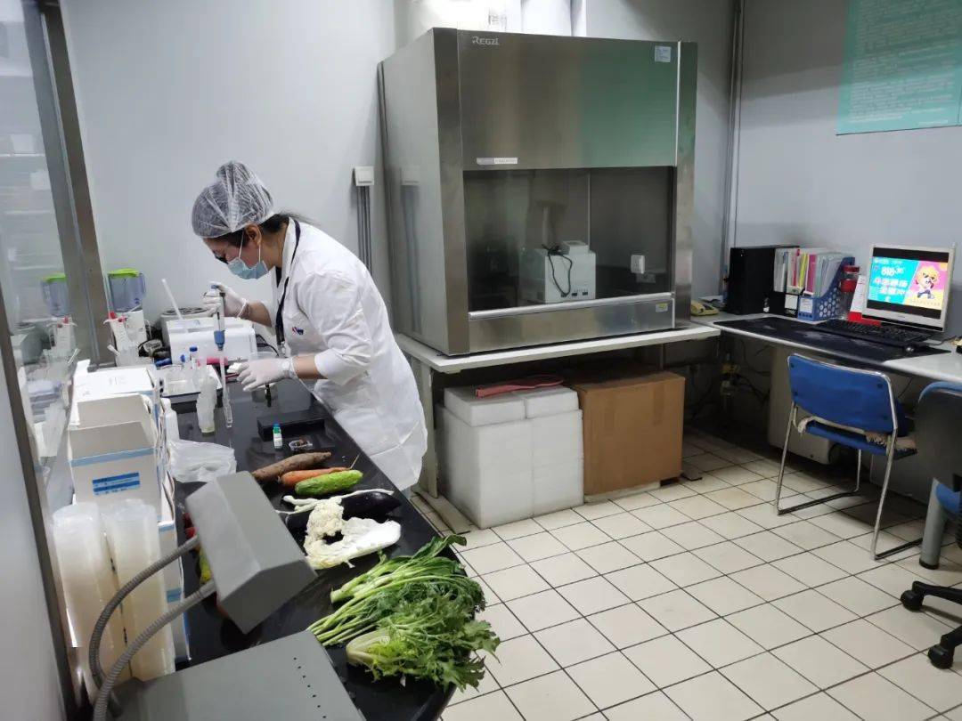 广宁食品检测实验室装修方案